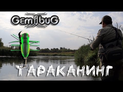 Видео: Тараканинг и GEMIBUG