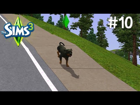 Видео: С нуля к мечте: жизнь матери-одиночки | The Sims 3 Летсплей #10