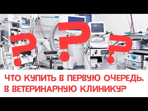 Видео: Как понять, что купить в первую очередь в ветеринарную клинику