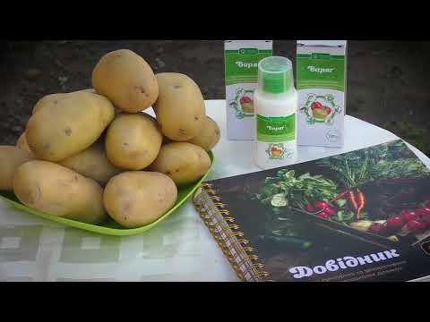 Видео: Новинка! Препарат для захисту картоплі від бур'янів "Варяг".