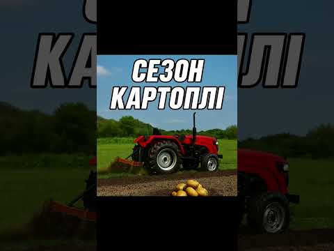 Видео: Копаєм картоплю шифенгом #СезонКартоплі #БитваЗаВрожай #АгроКонтент #Агро2025 #КартоплянийСезон 