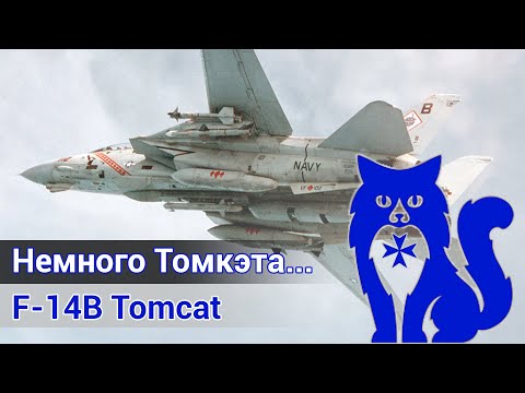 Видео: F-14B Tomcat - Немного Томкэта... (DCS World Stream) | WaffenCat