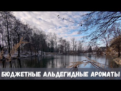 Видео: Бюджетные альдегидные ароматы для морозной зимы ❄️