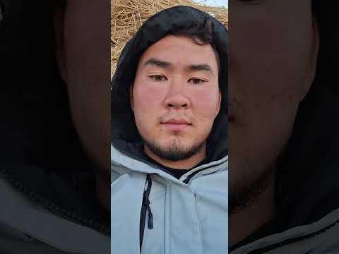 Видео: Кто любит верховую езду на лошадях 🏇 и самих лошадей 🐎