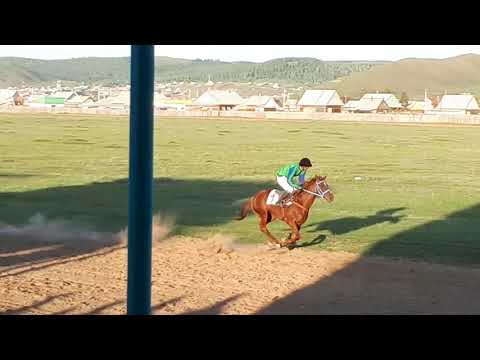 Видео: Зунай Наадан 2019 Агинский район 4000м. 1.Волга, 2.Геликон, 3.Фалько Джет