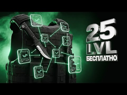 Видео: КАК БЕСПЛАТНО ПРОКАЧАТЬ БРОНЕЖИЛЕТ НА МАКСИМУМ В NEXT RP !