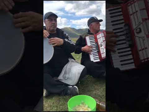 Видео: Аку и Шита