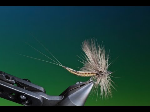 Видео: Вязание сухой мушки-поденки с удлиненным корпусом с Барри Ордом Кларком