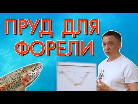 Видео: Пруд для форели. Как правильно построить пруд для форели