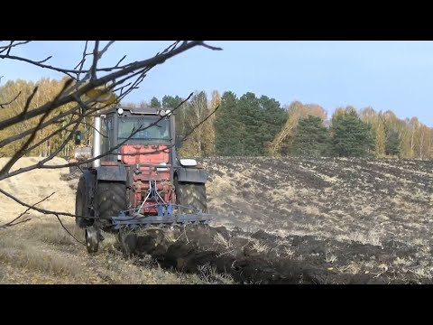 Видео: Осенние полевые работы в Тяжинском округе (сентябрь 2022 г.)