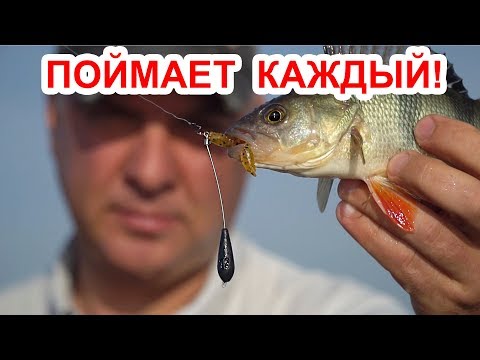 Видео: Cупер УЛОВИСТАЯ СНАСТЬ! Ловля окуня на ЧУПА-ЧУПС! Поймает каждый!