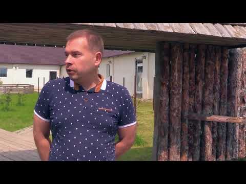 Видео: Улиточная Ферма . Виноградная улитка Содержания , уход  от А до Я