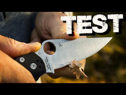 Видео: Spyderco Paramilitary 2 огляд і тест ножа | Повний відгук після реального використання