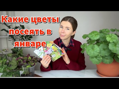 Видео: Какие цветы пора сеять в январе