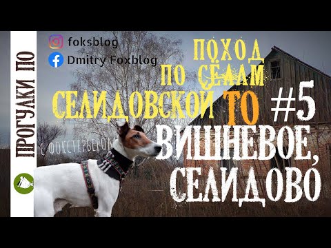 Видео: Поход по селам Селидовской ТО#5 Вишневое| Селидово| Финиш