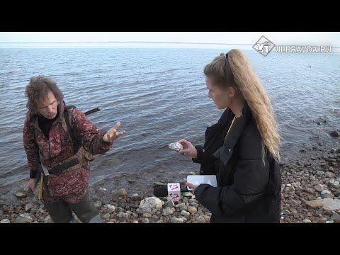 Видео: Под перламутровым слоем. Почему палеохантеры съезжаются в Ульяновскую область