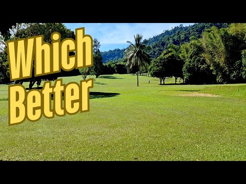 Видео: Уничтожение плантации бобов тонка