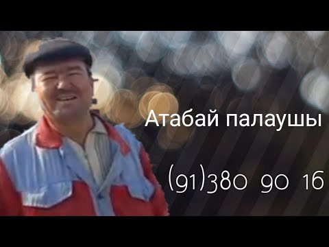 Видео: Той палауы