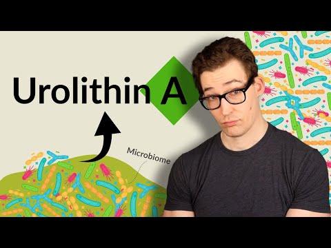 Видео: Уролитин А для здоровья митохондрий, аутофагии и многого другого: стоит ли оно того? [Исследовани...