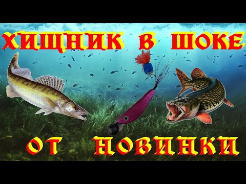 Видео: ХИЩНИК ДУРЕЕТ ОТ ЭТОЙ ПРИМАНКИ.