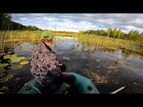 Видео: Шукали кілограмових Окунів,а знайшли Затон з Унікальною Природою