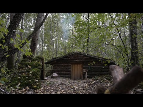 Видео: Землянка к зиме готова, мокрый темный лес, никаких разговоров