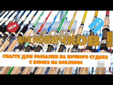 Видео: Снасти для рыбалки на ночного судака с берега для новичков Ч.1