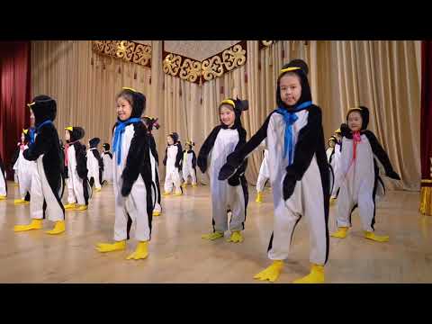 Видео: Танец пингвинов