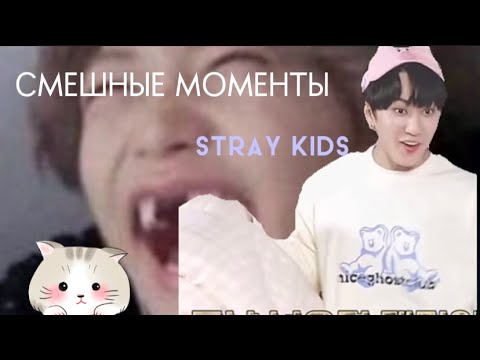 Видео: ДА ЛАДНО!СМЕШНЫЕ МОМЕНТЫ stray kids!!🦥