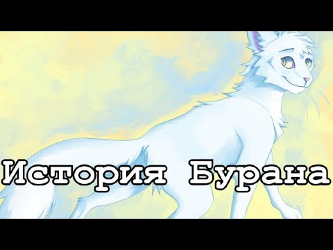 Видео: История Бурана/Коты-воители