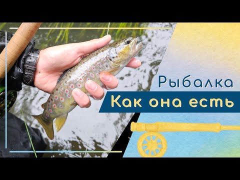 Видео: Ловля форели на лесной речке