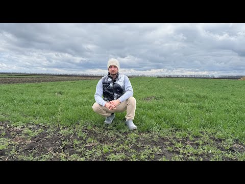 Видео: Чого не стало Батька❓Що будемо Робити Далі‼️