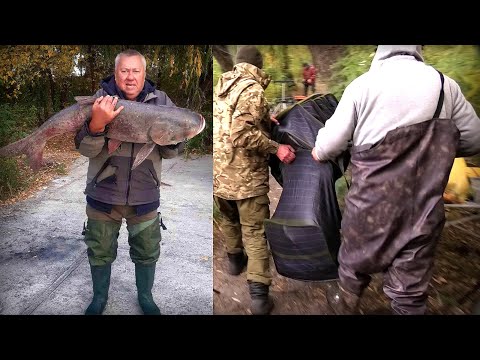 Видео: Дніпро на Роздачі !!! Лобатий на 24кг. та Купа Коропів !!!