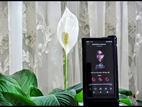 Видео: Fiio m15s – распаковка, технические характеристики и юзабилити. Если просто – мечты сбываются!!!)))
