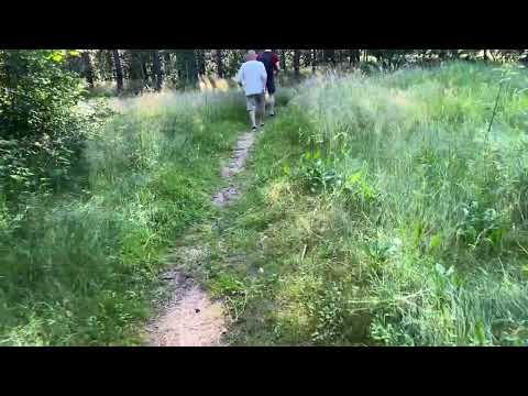 Видео: Литва 🇱🇹 Паланга. Заселение. и опять пошли на море.