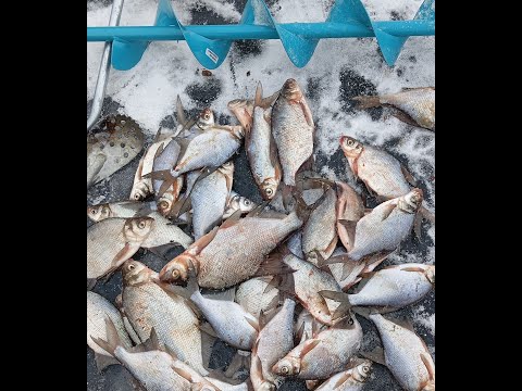 Видео: ДВА ДНЯ НА РУЗЕ