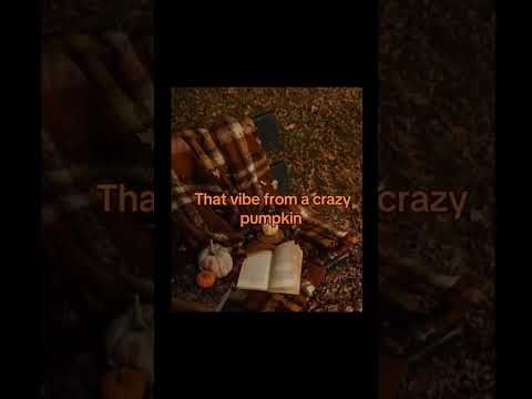 Видео: That vibe from a crazy pumpkin🎃🧡 #catsstrokes #кошечкиштрихи