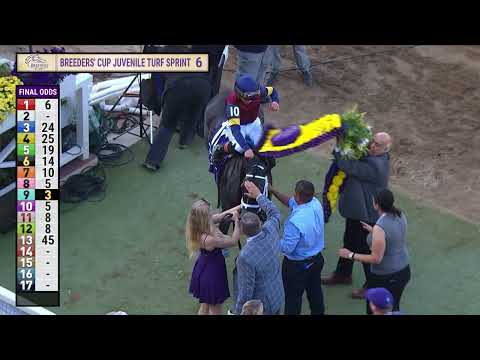 Видео: Сай Фэйр побеждает в BC Juvenile Turf Sprint G.I. гонка 6 в Дел Мар 31.10.25