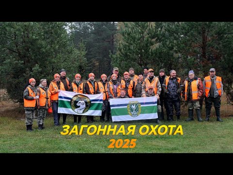 Видео: ЗАГОННАЯ ОХОТА НА ЛОСЯ  С КЛУБОМ ЛАСКА 2025🦌