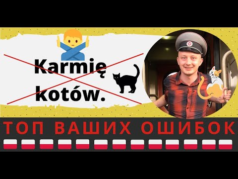 Видео: «Я кормлю котов.» Почему нельзя так сказать по-польски?