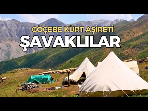 Видео: Кочевое курдское племя, живущее в горах Мунзур: ШАВАКЛИЛАР