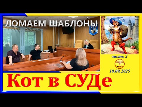 Видео: КОТ В СУДЕ -ЛОМАЕМ ШАБЛОНЫ