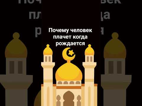 Видео: 12 ноября 2025 г.