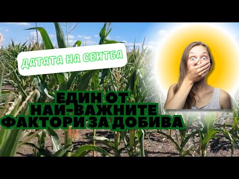 Видео: Времето на сеитба на пролетниците - изключително важен фактор за добива