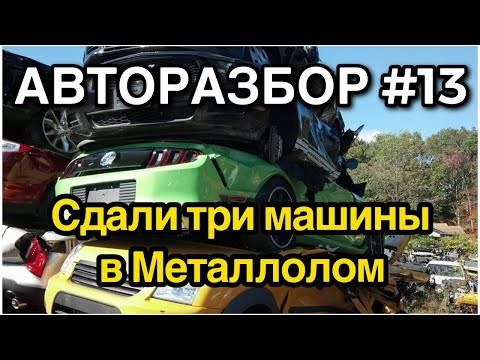 Видео: Авторазбор #13 Три машины в металл, сколько заработали?  4К видео.