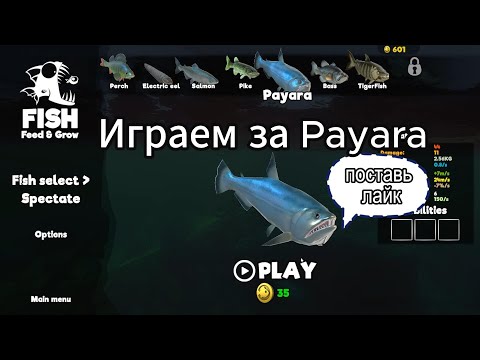 Видео: Играю за Паяру