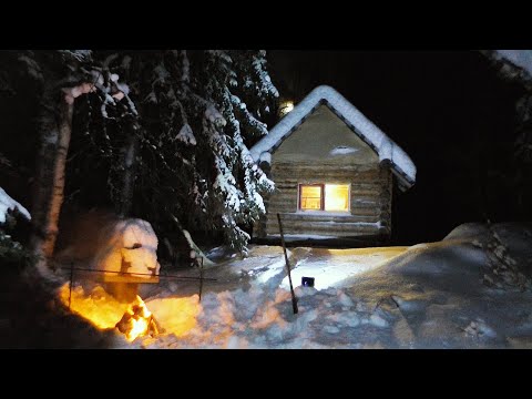 Видео: ЗАЧЕМ ТАЁЖНИКИ И РЫБАКИ СТРОЯТ ЛЕСНЫЕ ИЗБЫ \  НОЧЬ В СКАЗОЧНОМ ЛЕСУ \ ЖИЗНЬ В ТАЙГЕ