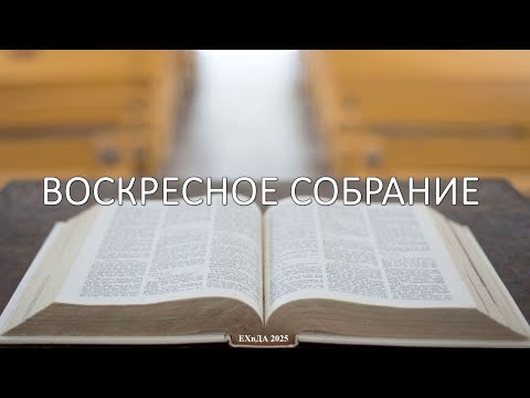 Видео: Воскресное собрание 26 октября 2025