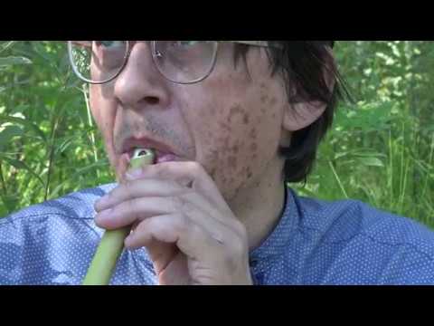 Видео: Обертонная травяная дудка / Russian ovrtone flute