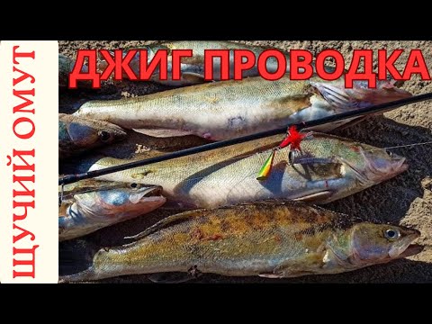 Видео: ОСЕННИЙ ЖОР СУДАКА НАЧАЛО СУДАК НА СПИННИНГ ДЖИГ ПРОВОДКА